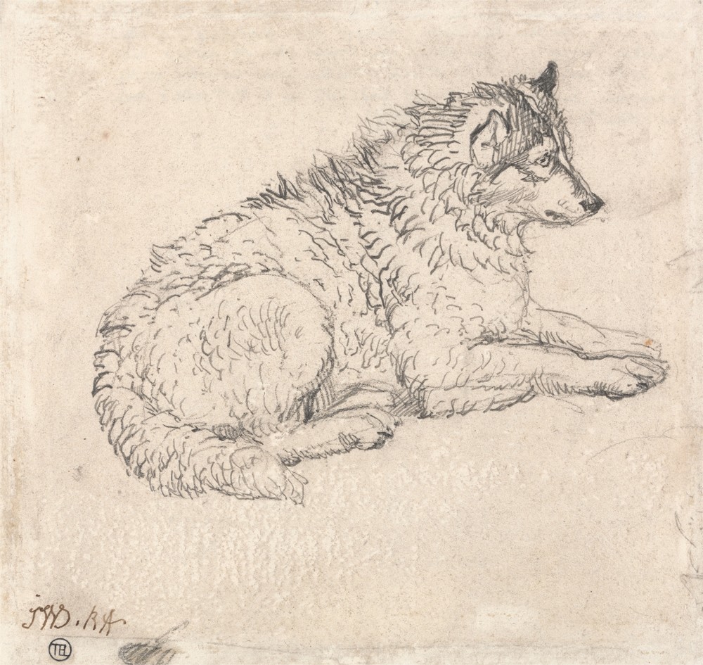 Arctic Dog, Facing Right
