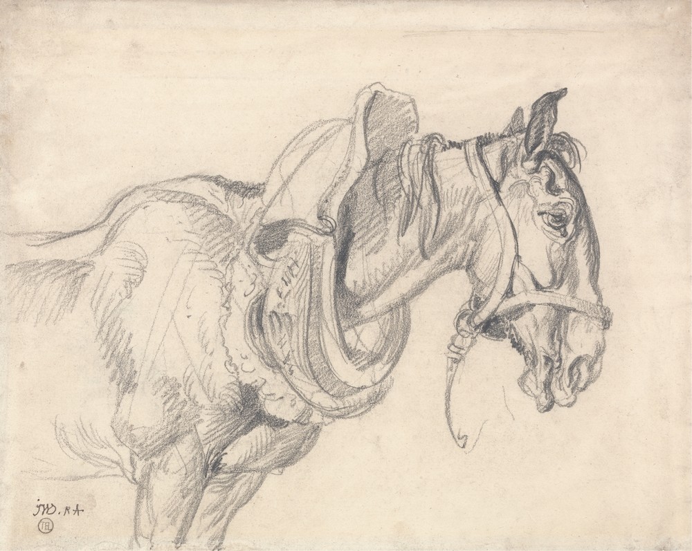Head and Shoulders of a Cart Horse