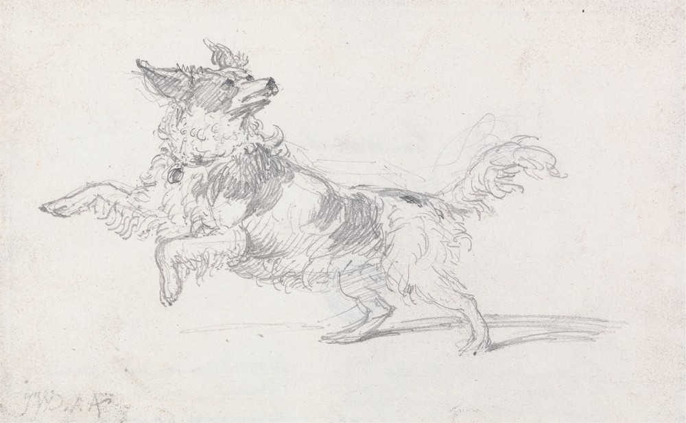 Lady Londonderry’s Dog