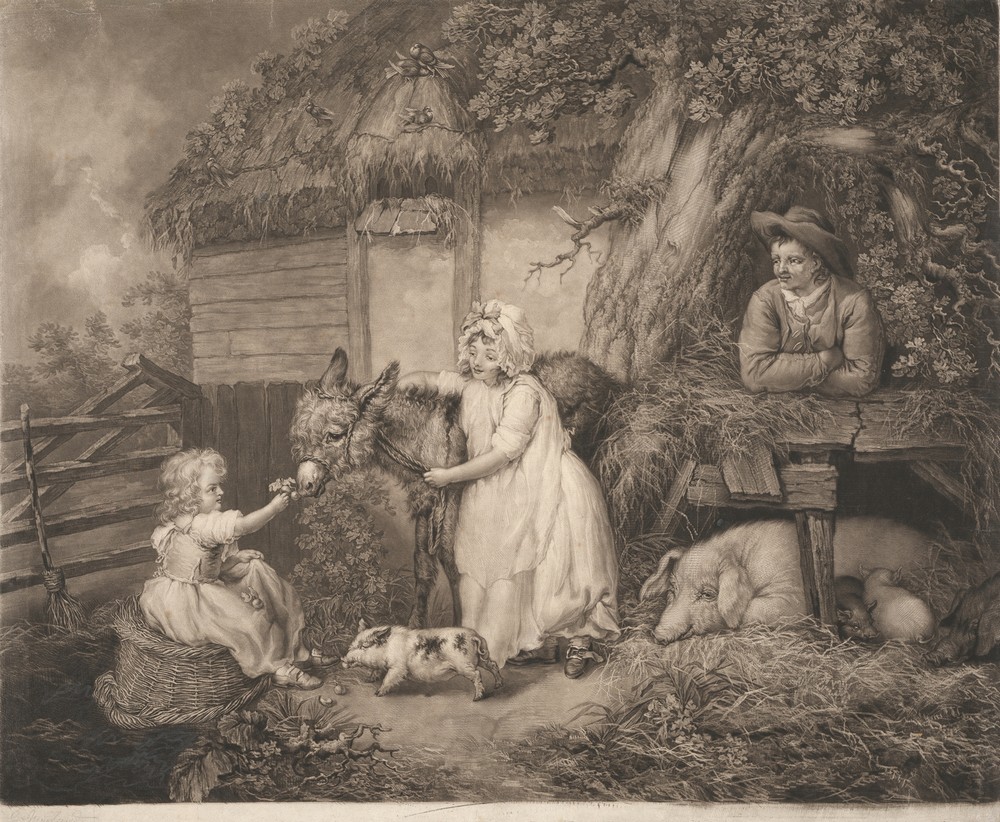 Rustic Felicity
