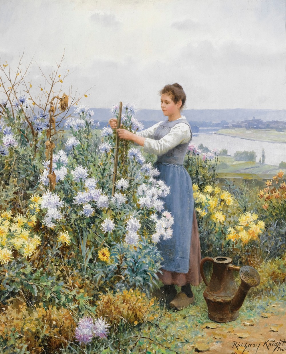 Chrysanthemums