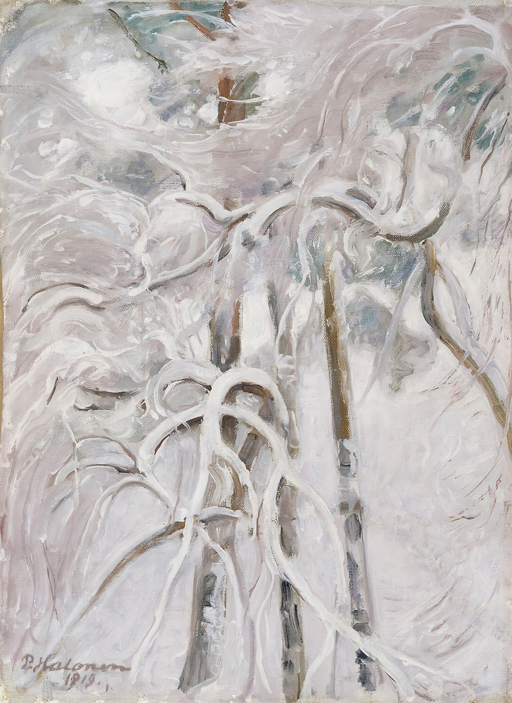 Snow-decked Pine