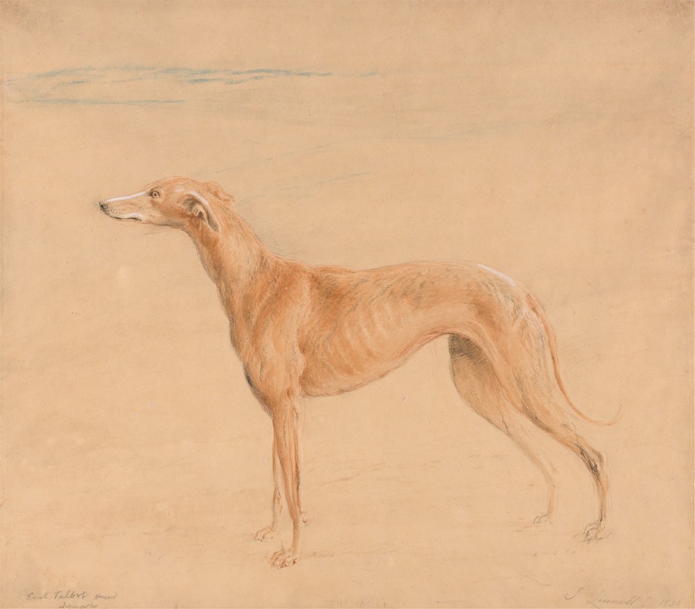 Earl Talbot’s Hound, Thomasine