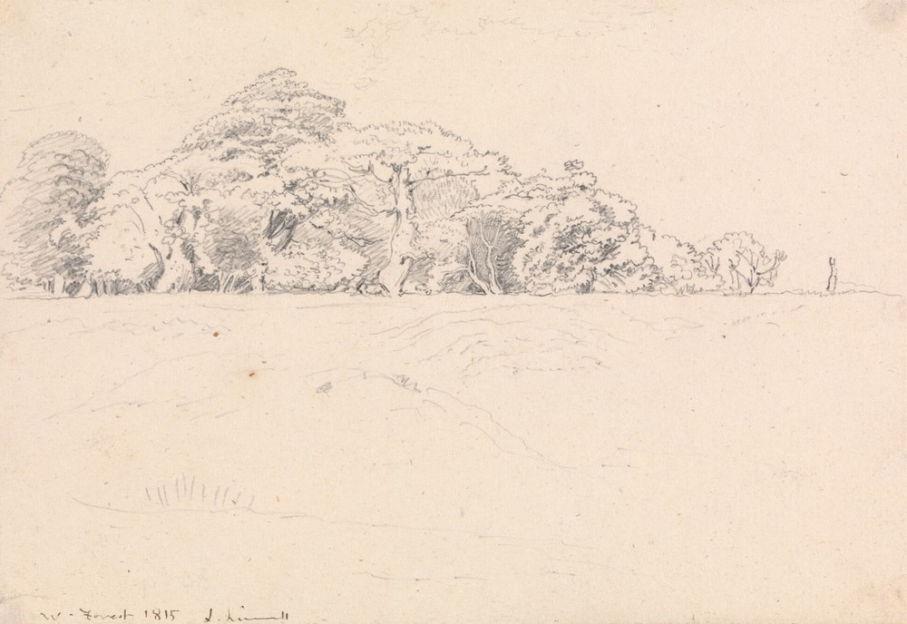 Windsor Forest