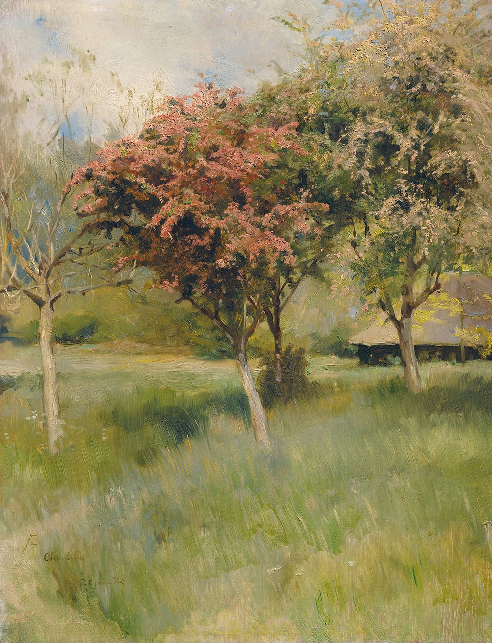 Blommande hagtorn (Vy från Chantilly)