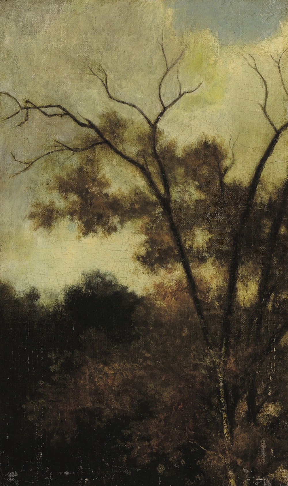 Woodland Landscape