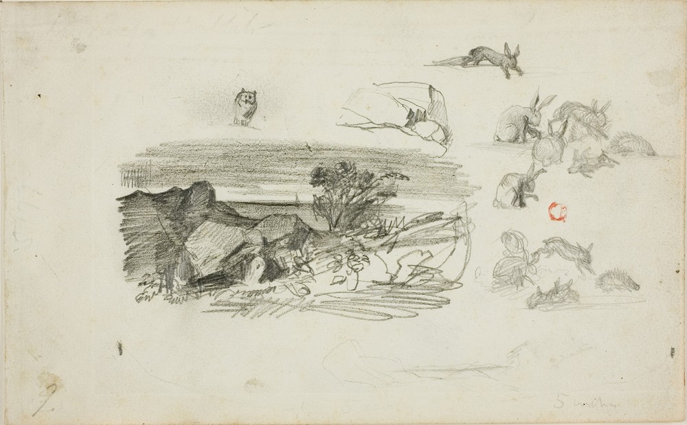 Sketches; Rocky Setting and Rabbits