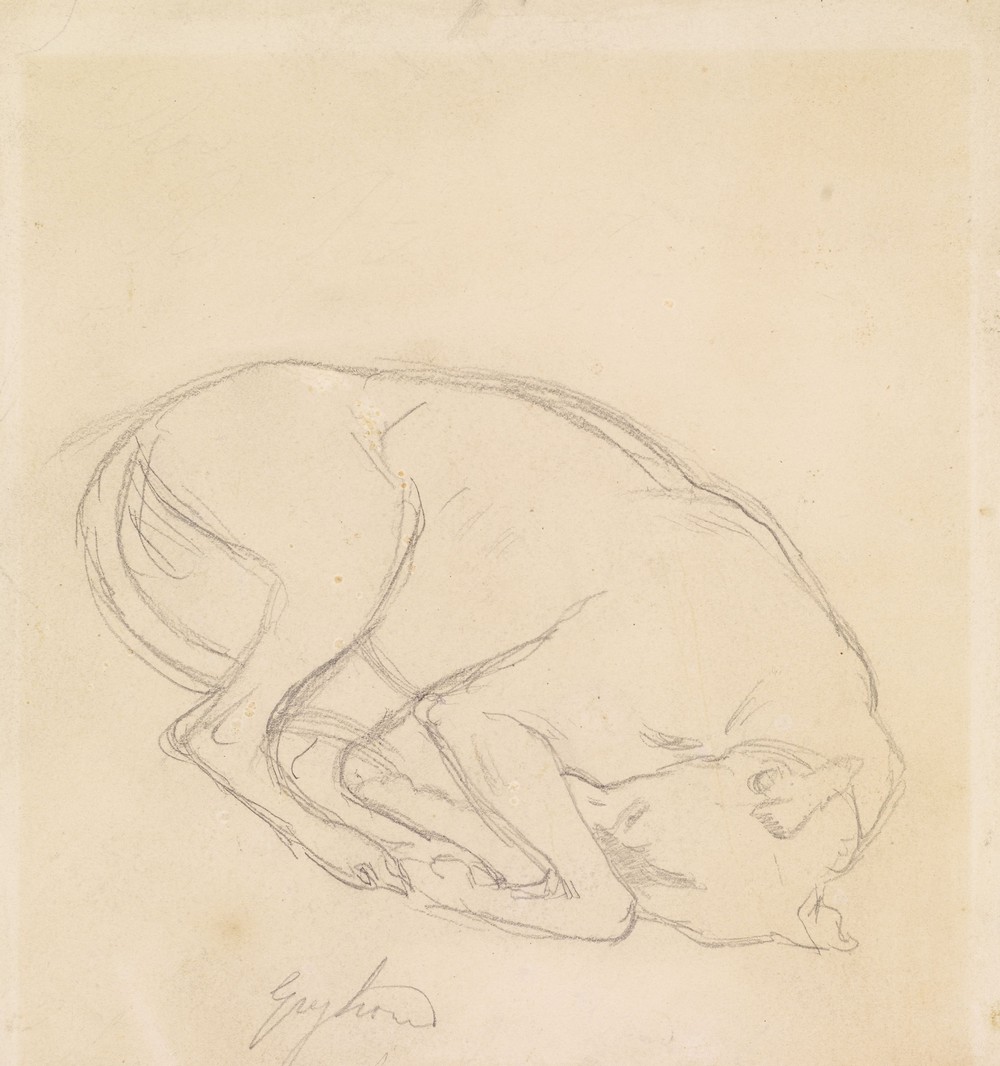 Studies of a chin, a sleeping dog, annotated ‘greyhound’
