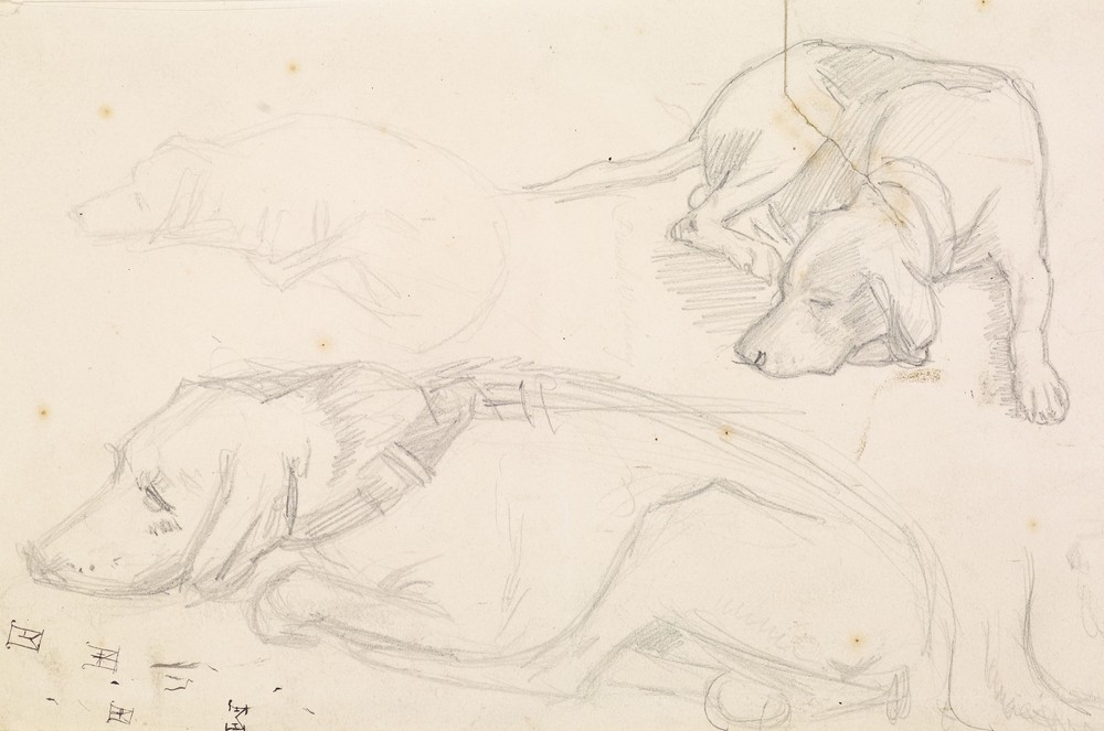 Three Studies of a Sleeping Dog (1848-49)