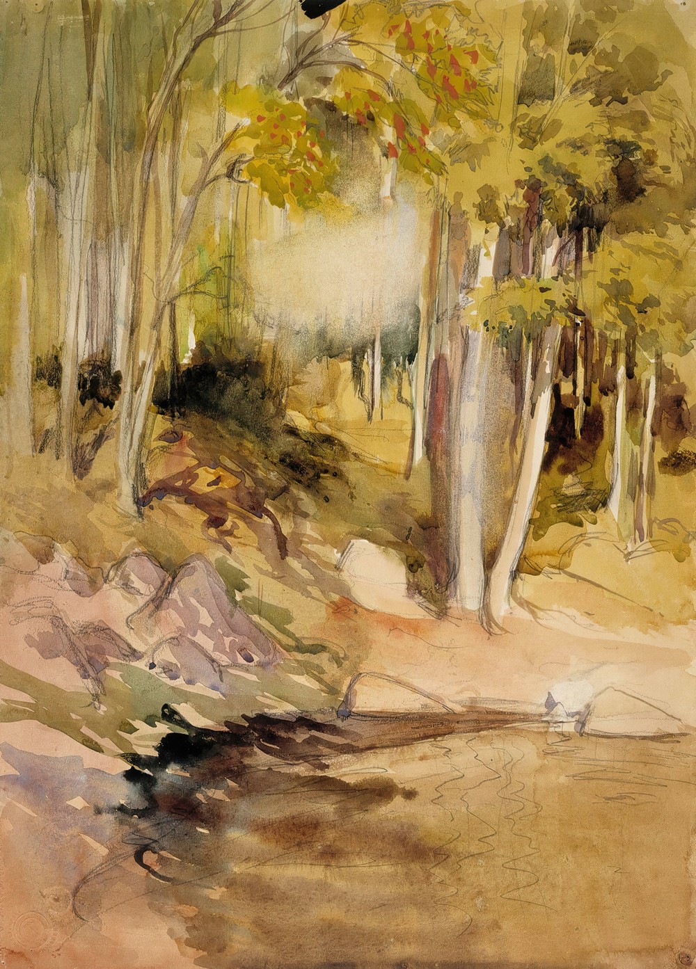 In the Woods