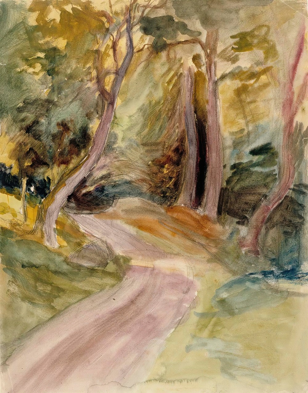 Metsänsisusta