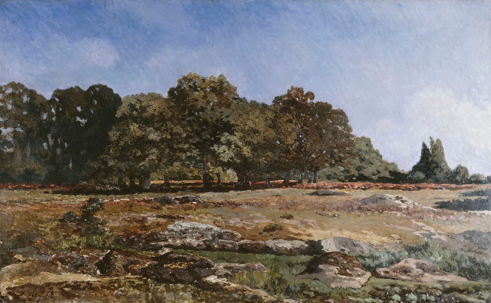 Lisière de la forêt de Fontainebleau