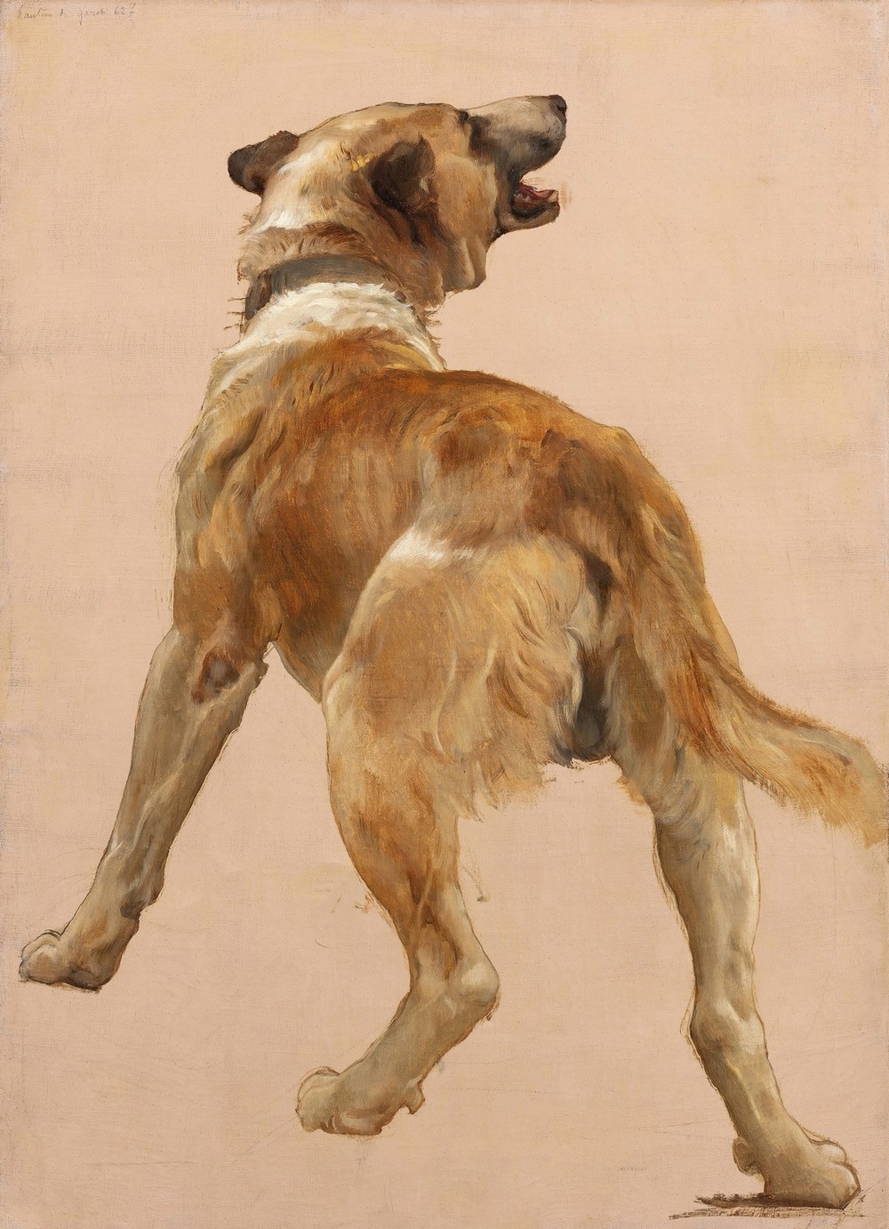 Study of the dog of homѐre et son guide