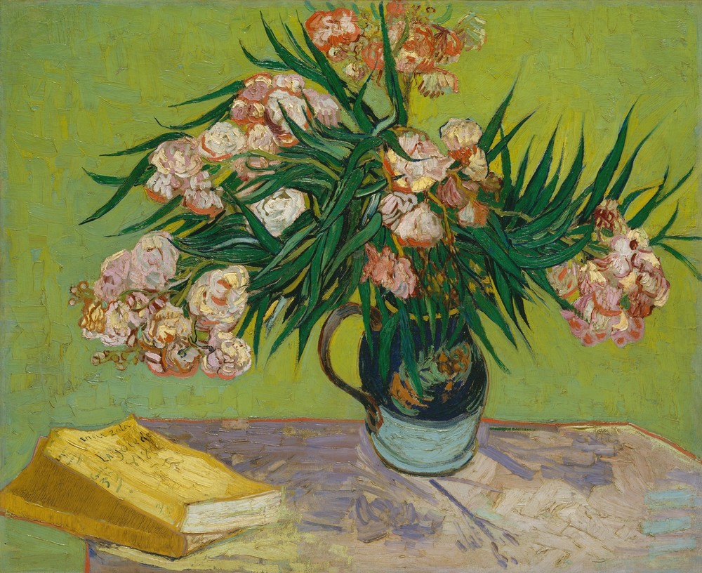 Oleanders