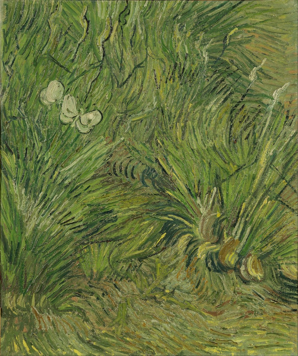 Garden with butterflies