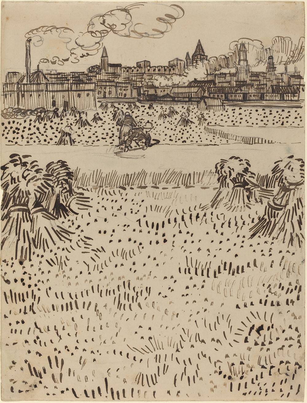The Harvest