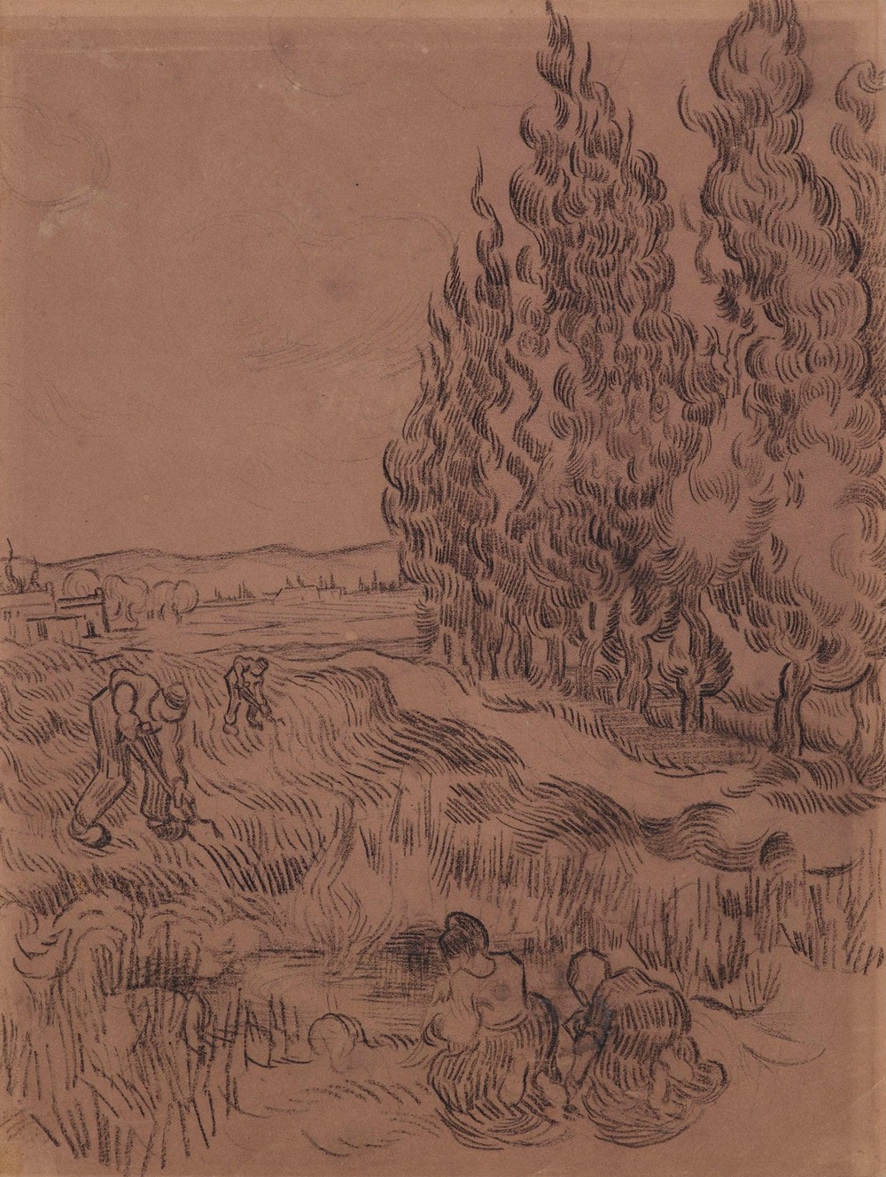 Cypresses with four people working in the field