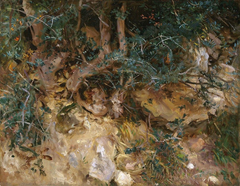 Valdemosa,Majorca – Thistles and Herbage on a Hillside