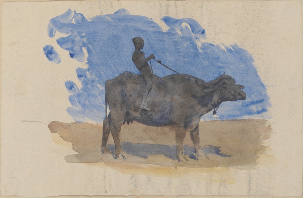 Boy on Water Buffalo (circa 1879)
