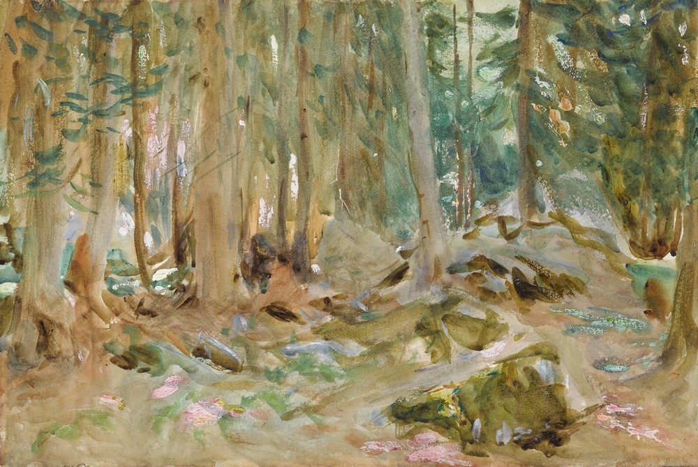 Pine Woods, Purtud