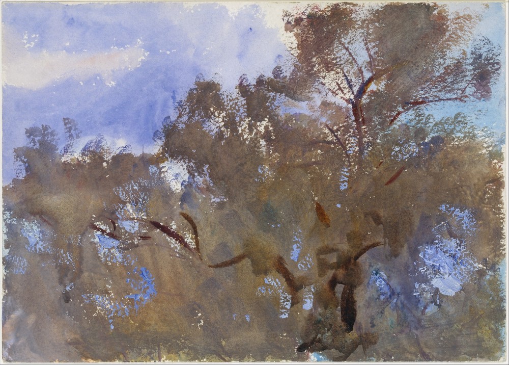 Treetops against Sky (1909–13)