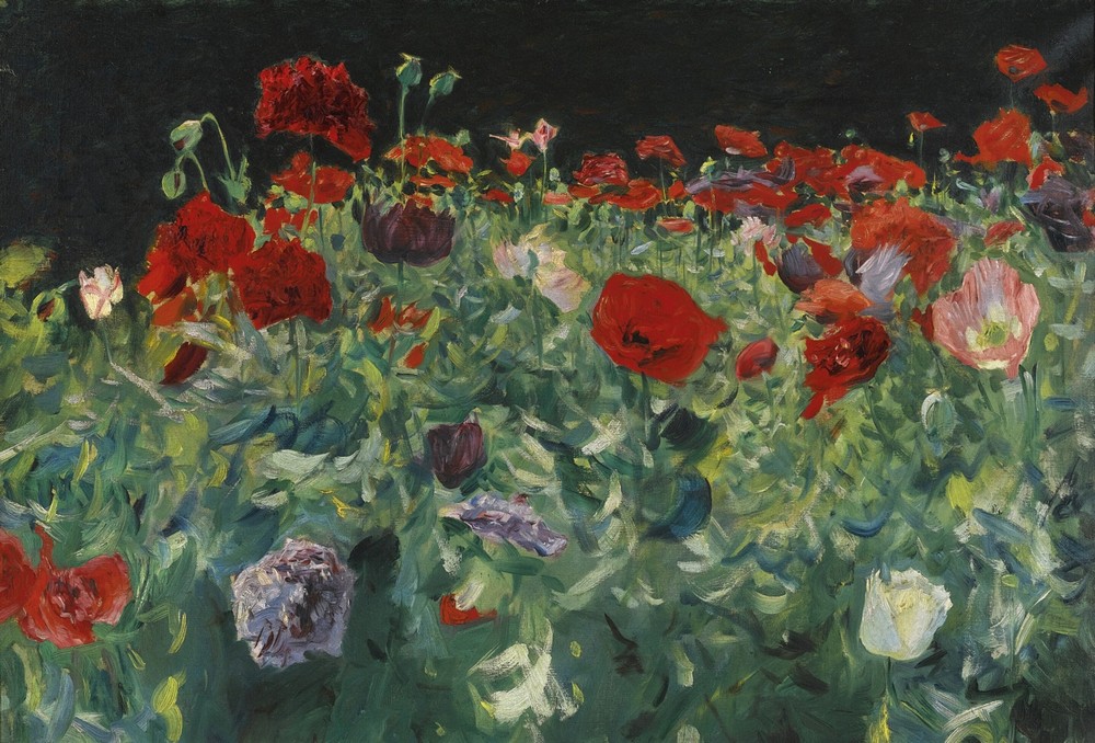 Poppies (A Study of Poppies for Carnation, Lily, Lily, Rose)