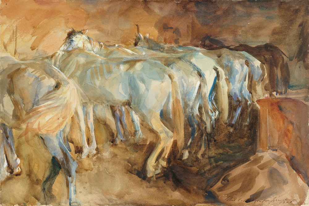 Bus Horses in Jerusalem