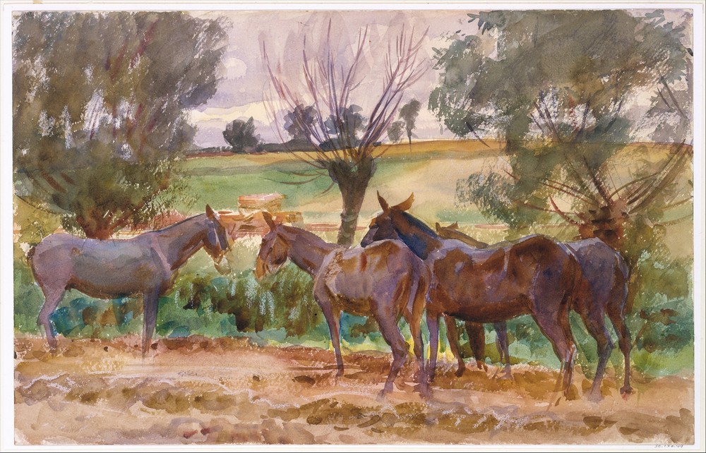 Mules