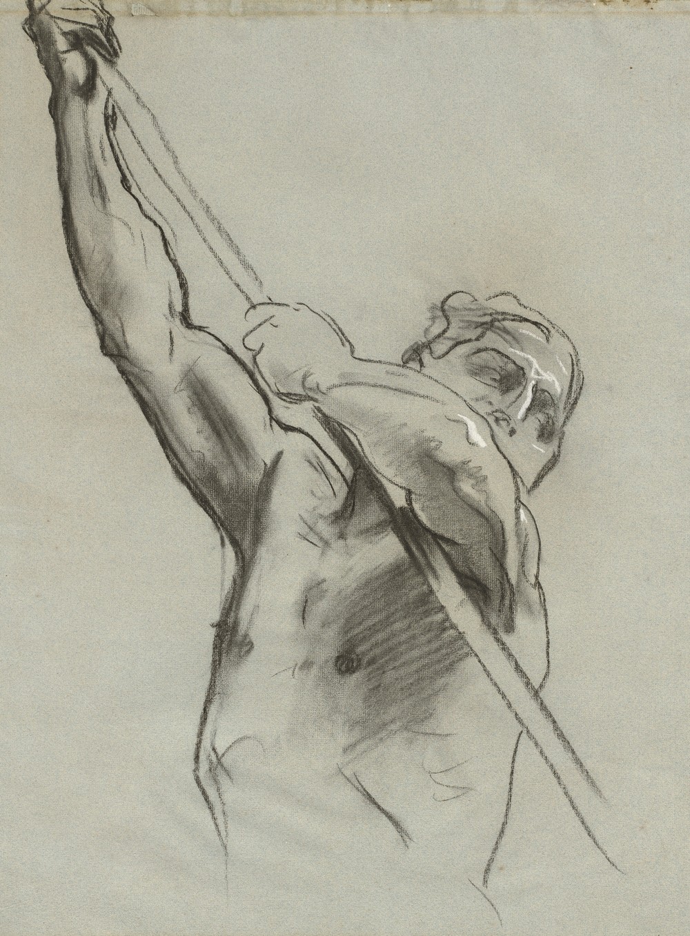Male Torso with Pole