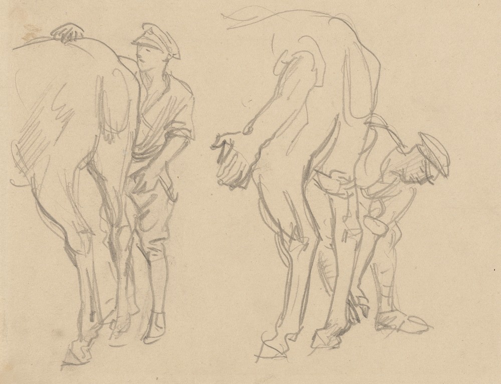 Studies for ‘Scots Grey’