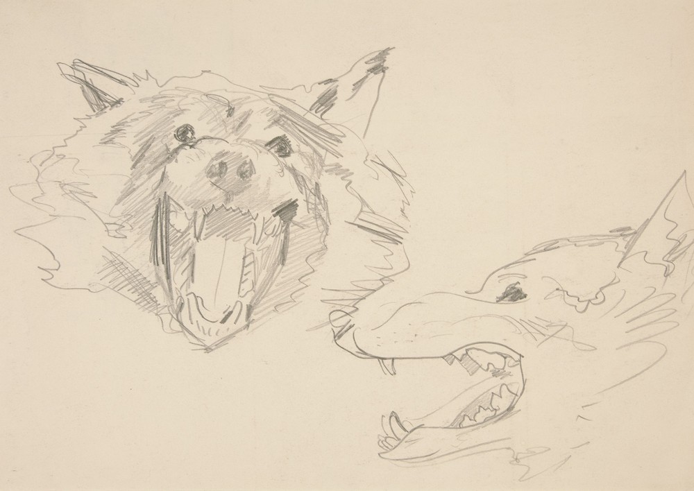 Two Views of a Wolf’s Head