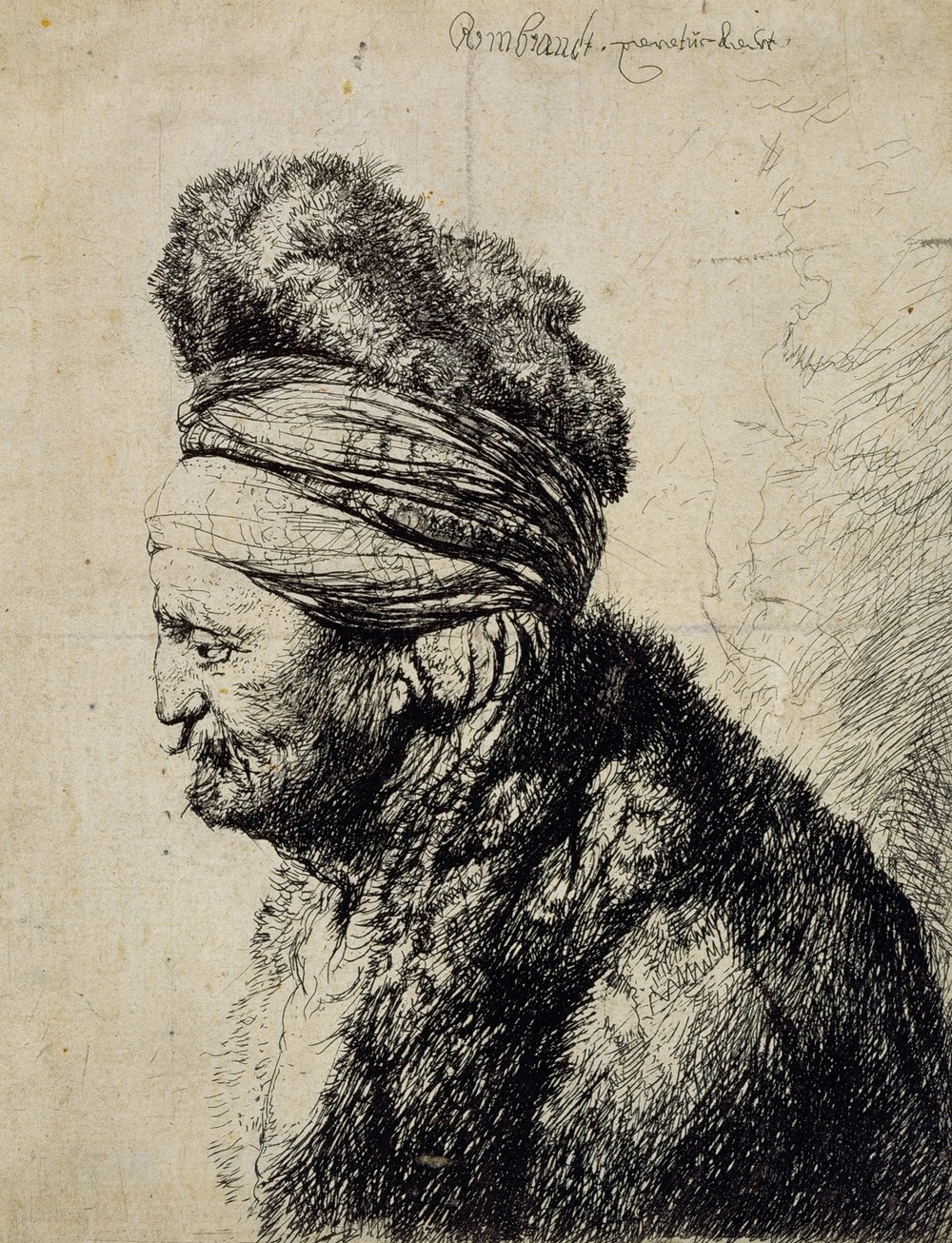 The Second Oriental Head (c.1635)