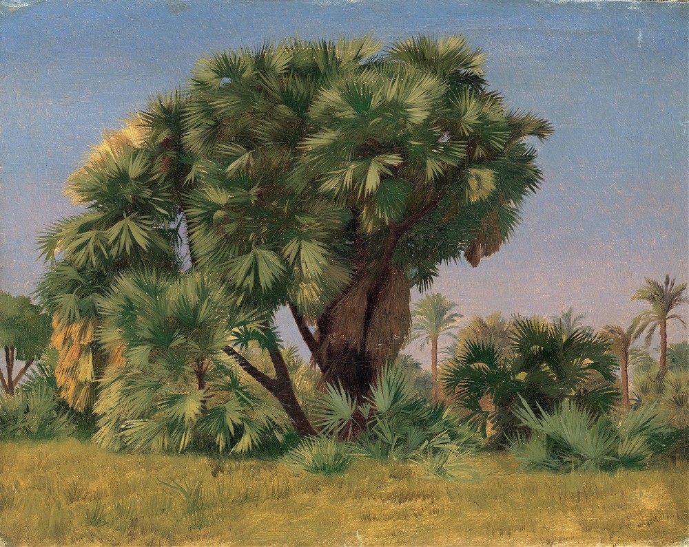 Study of Palm Trees (probably 1868)