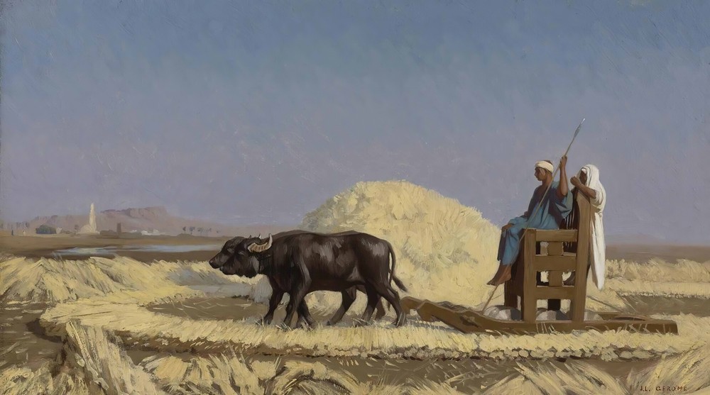 Egyptian Grain-Cutters
