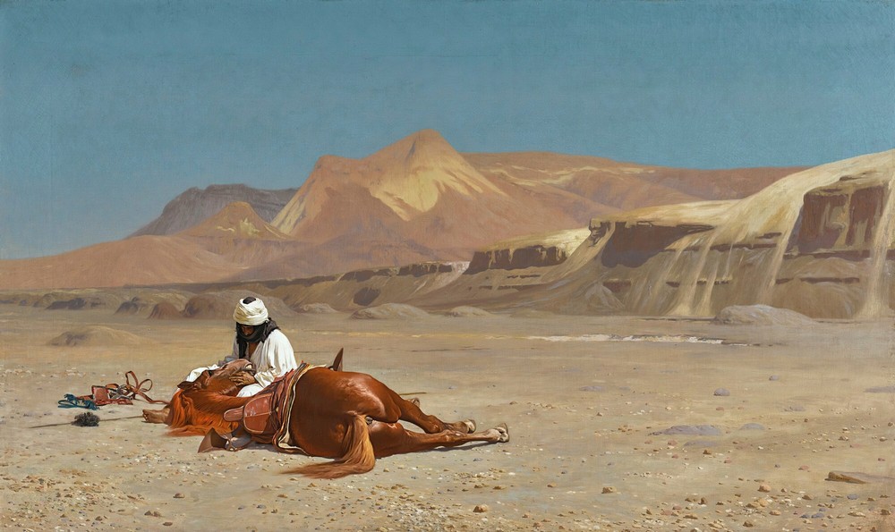 Rider and His Steed In The Desert
