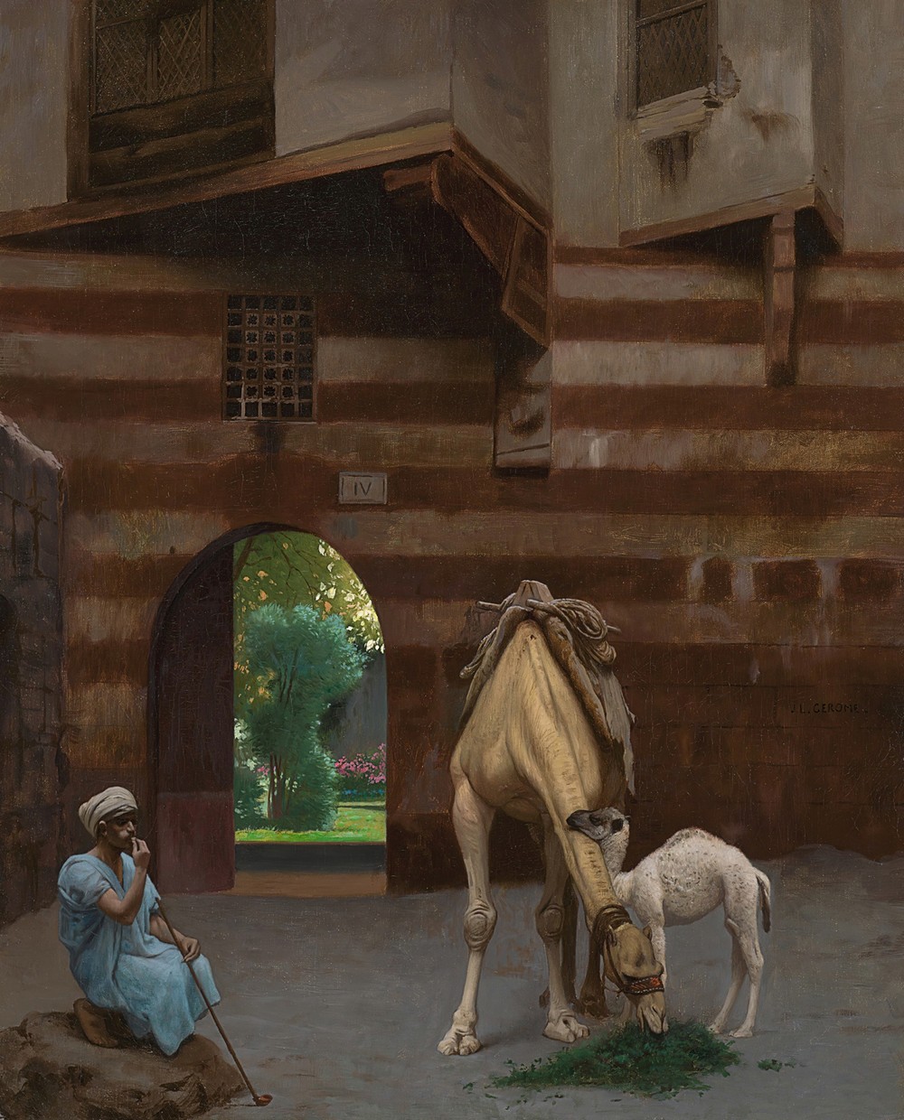 The Camel Driver