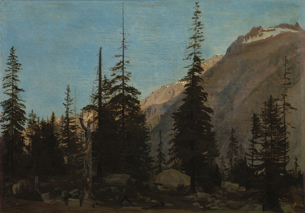 Alpine Landscape,  The Handegg, Switzerland (1850s)