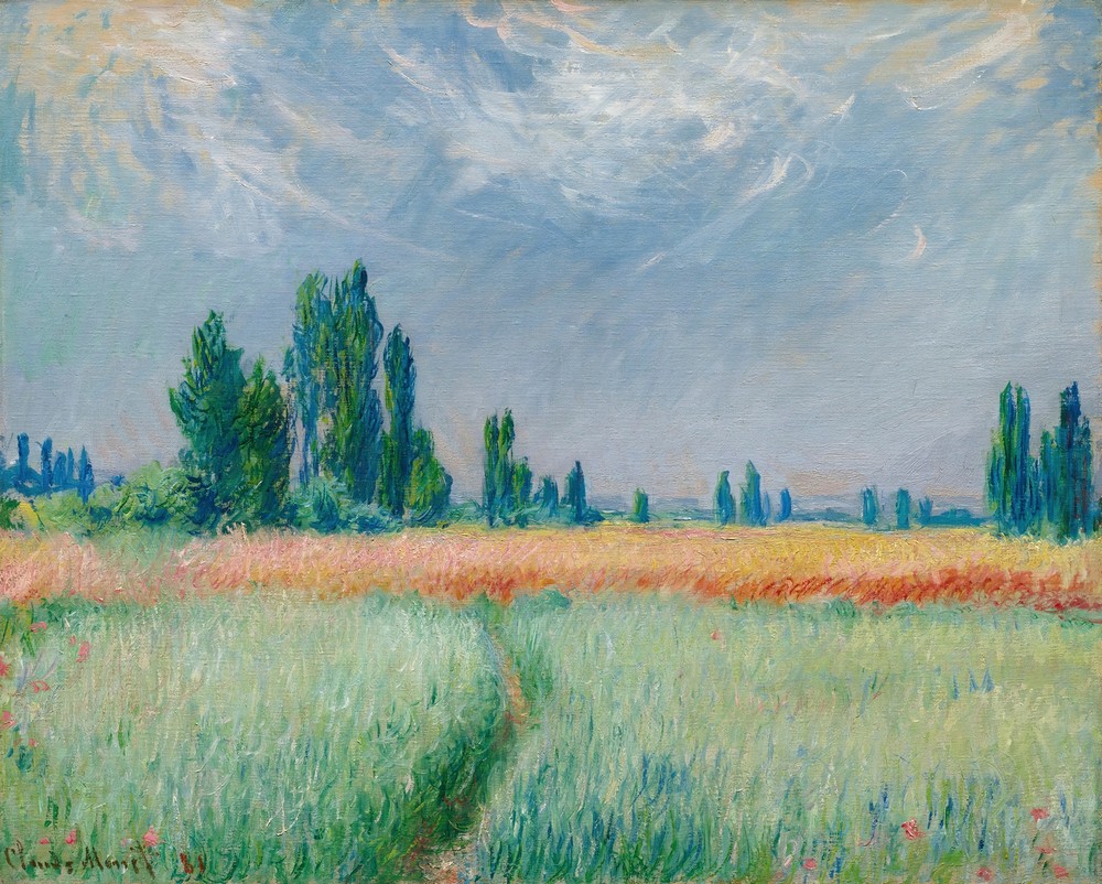 Champ De Blé