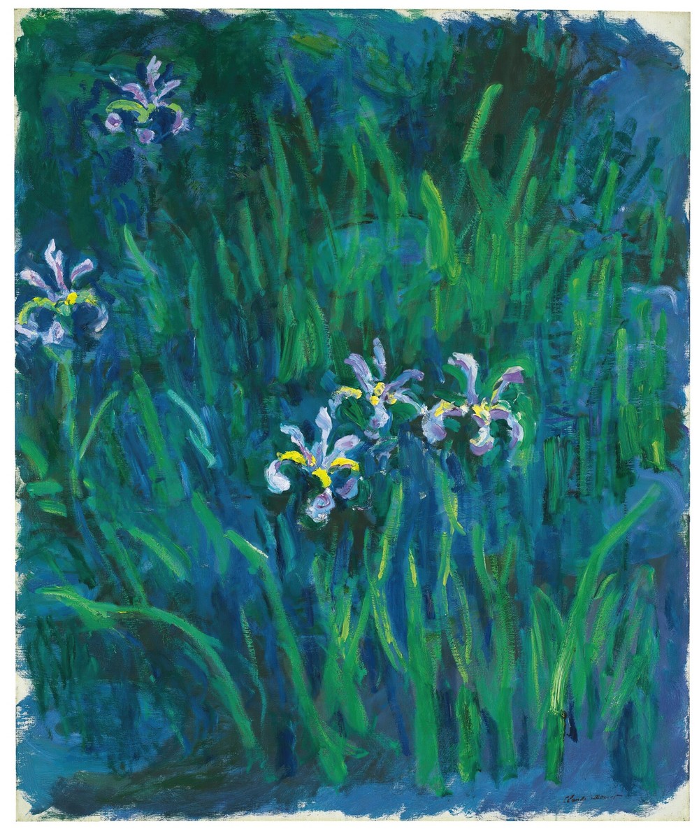 Iris
