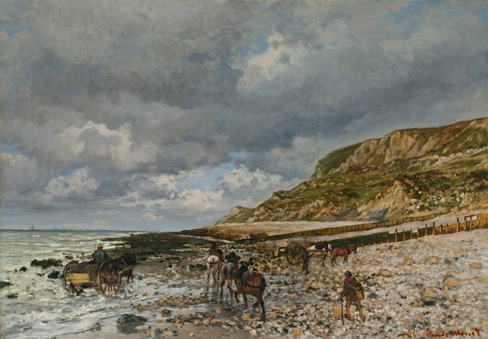 Chevaux À La Pointe De La Hève