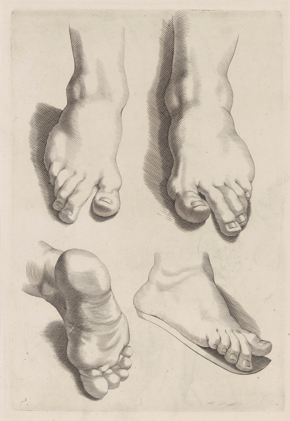 Study of Feet