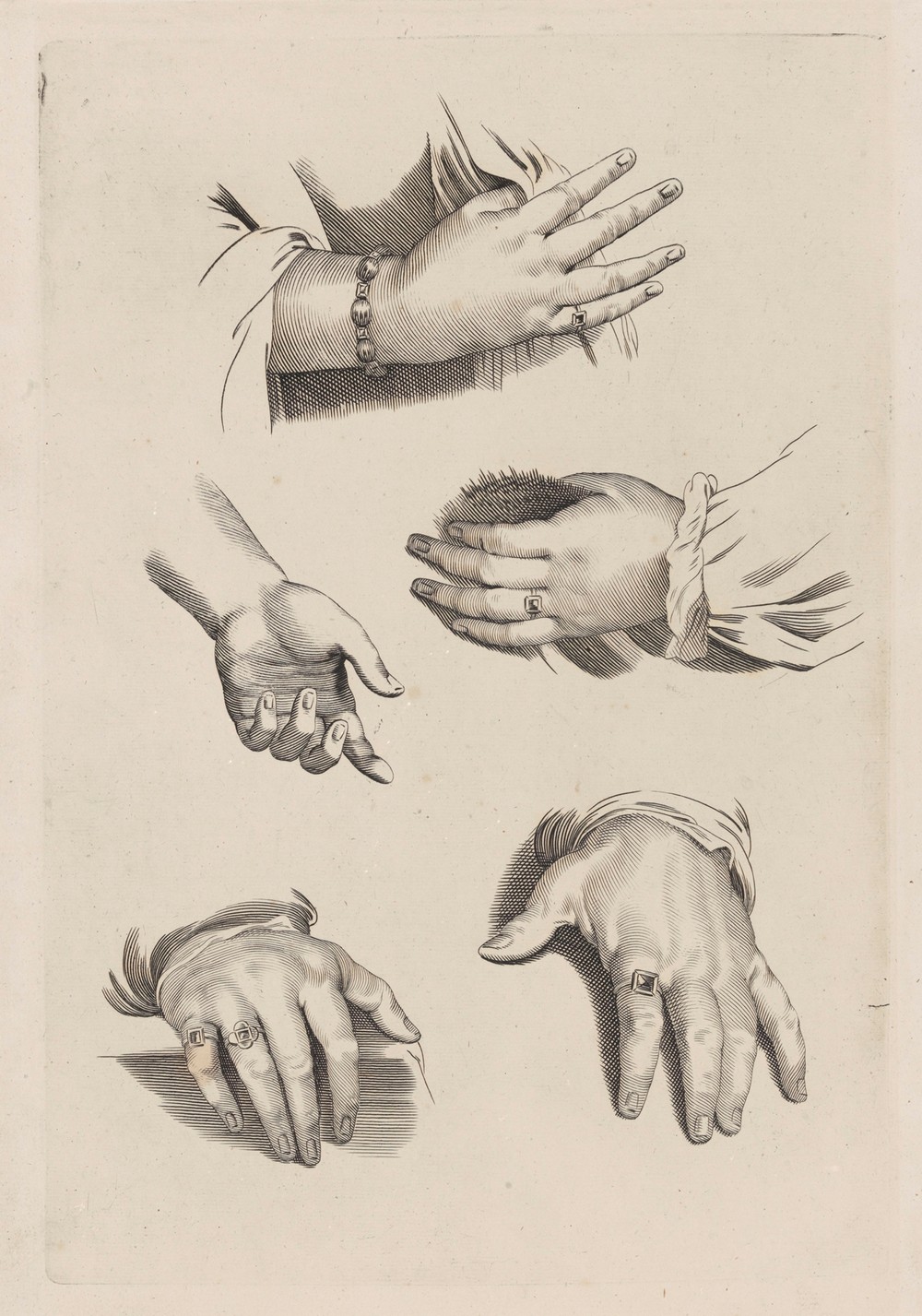 Study of Hands