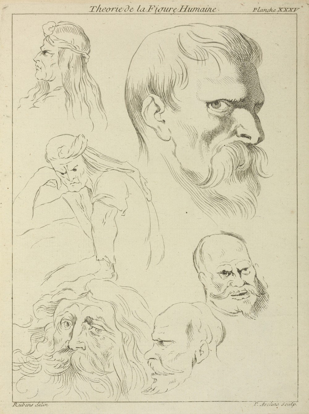 Five studies of men’s heads displaying various hair styles, beards and mustaches; one seated figure, half-length
