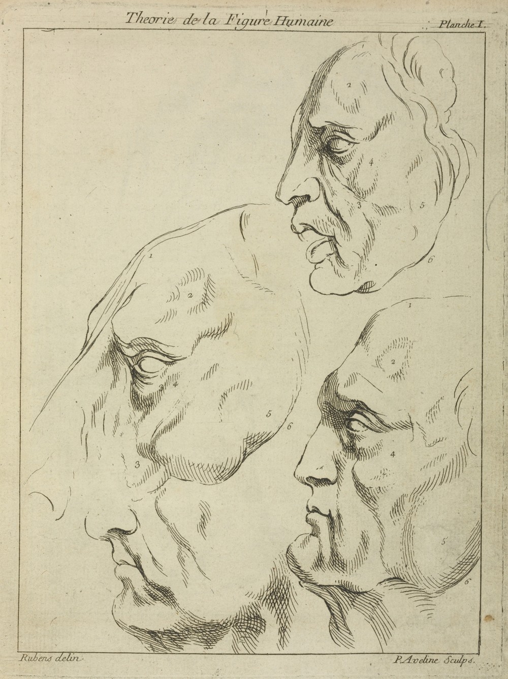 Four faces–three human, one horse– in profile