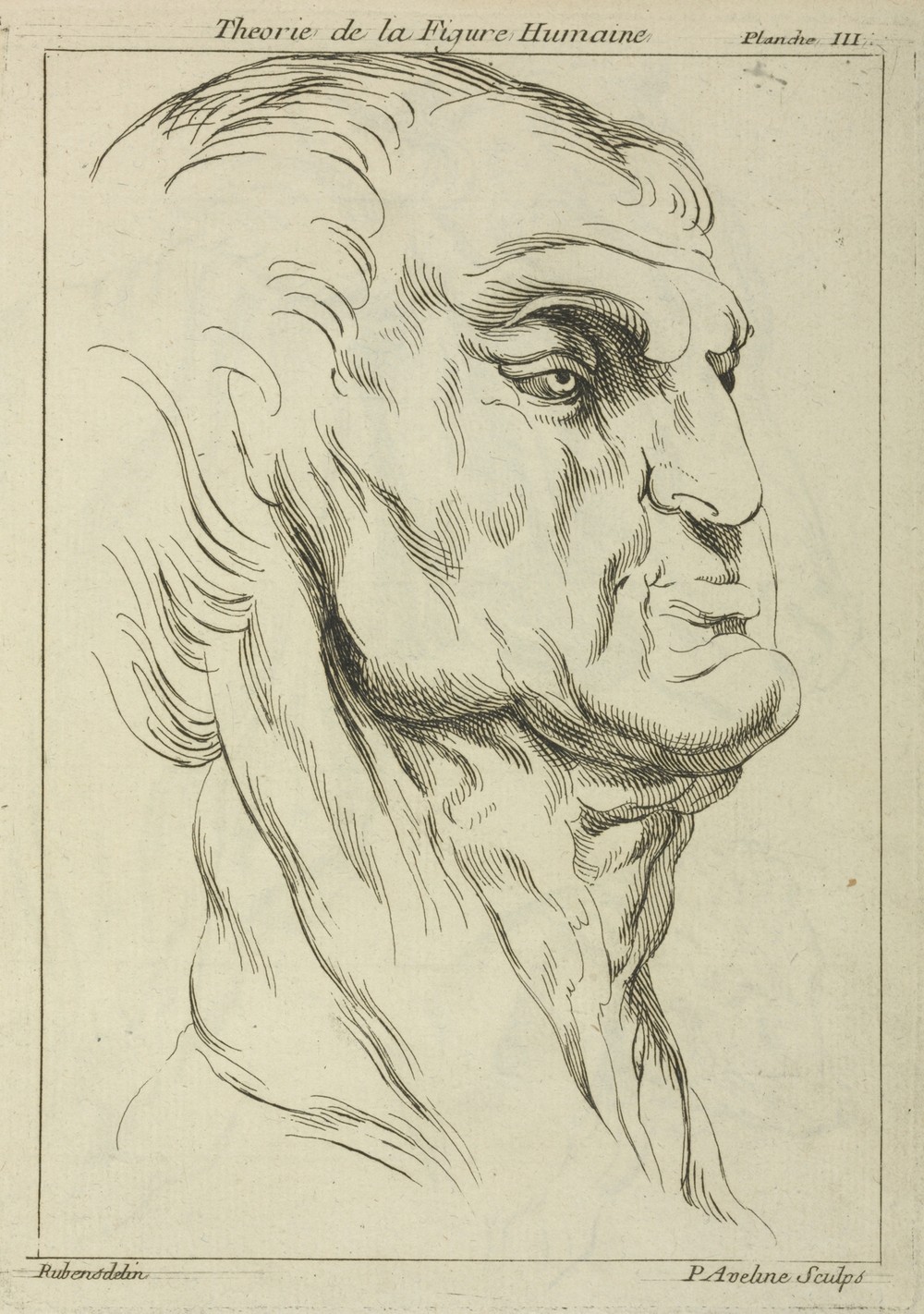 Head of a man