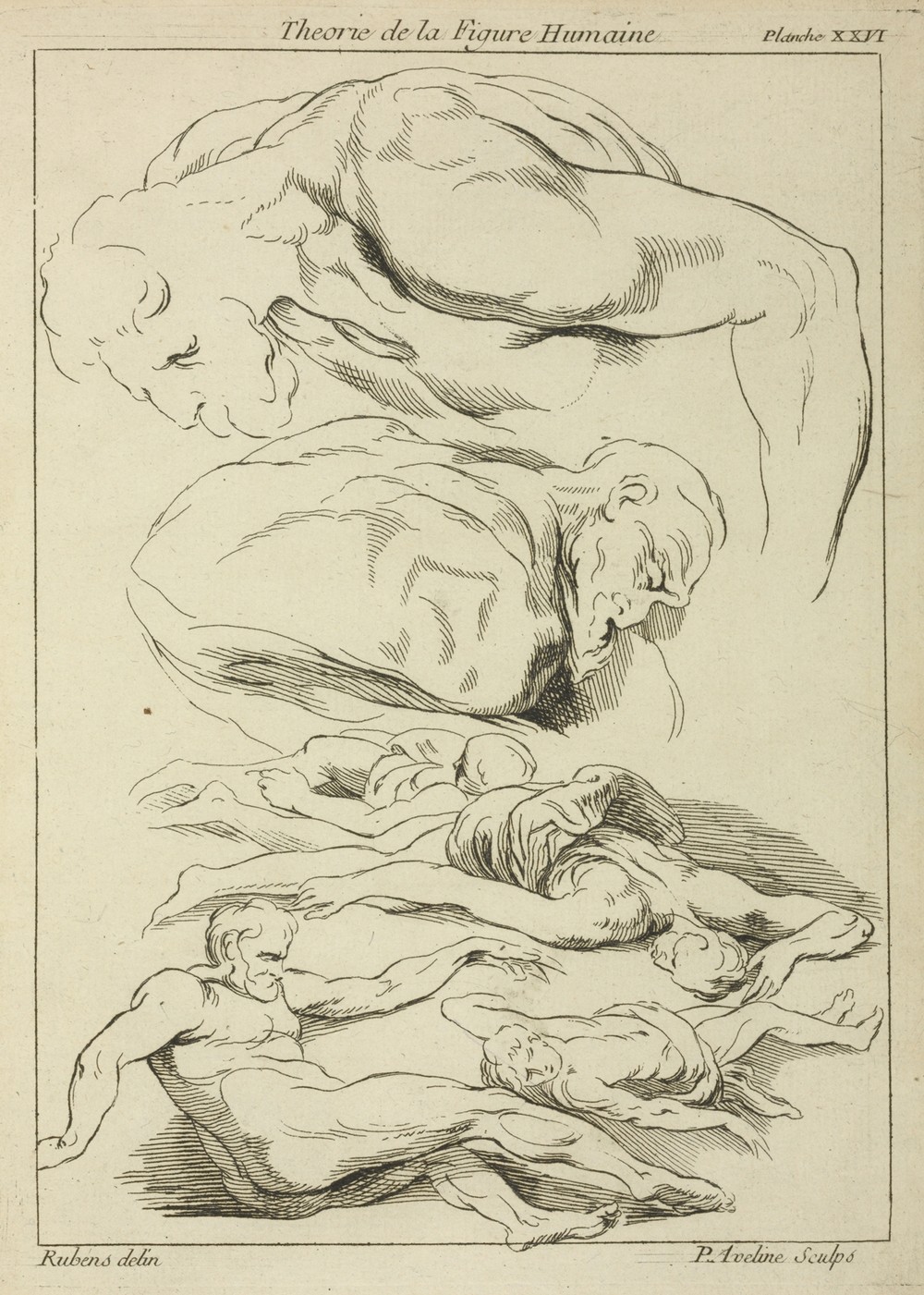 Six studies of male figures in various prone and supine positions