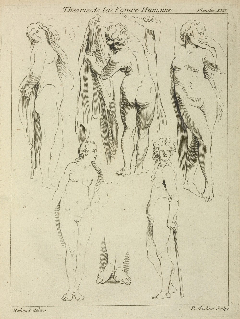Studies of standing female nudes and a pair of feet