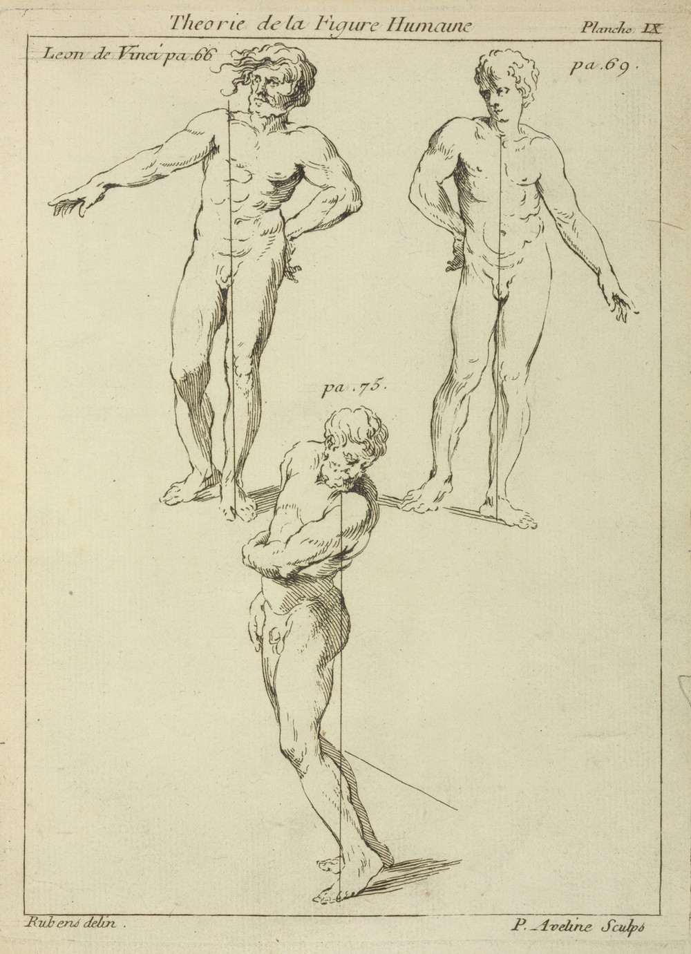 Three studies of male figures