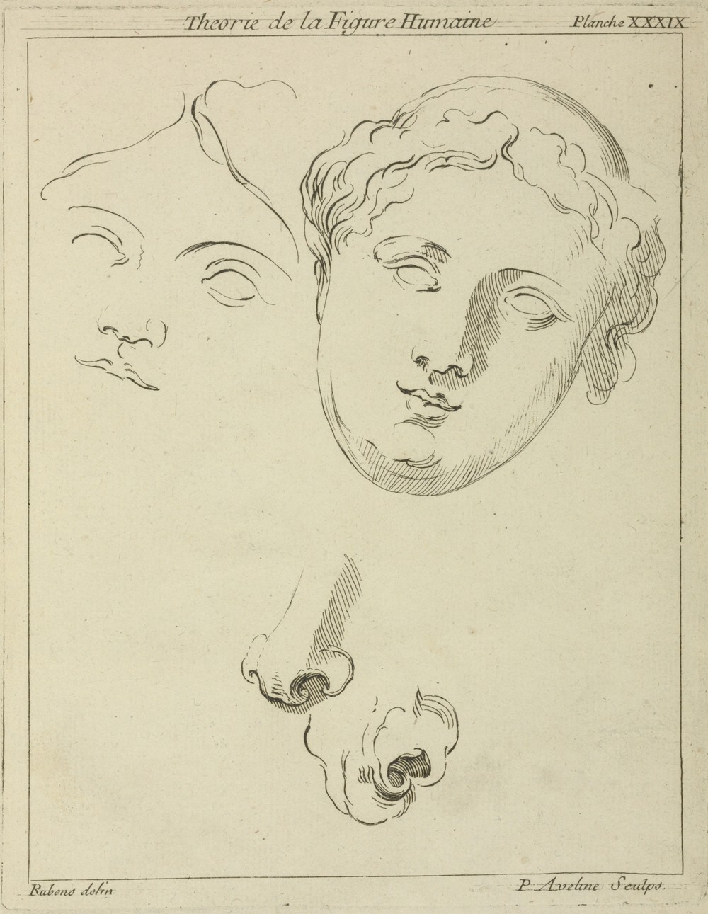 Two human female faces and two noses–one human, animal