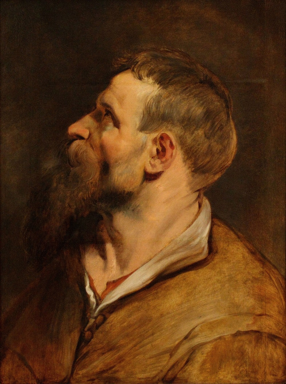 Head of a bearded man (between 1620 and 1621)